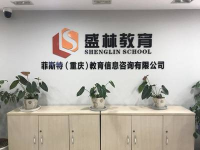 盛林教育暑假班 點燃智慧火花，成就未來之星